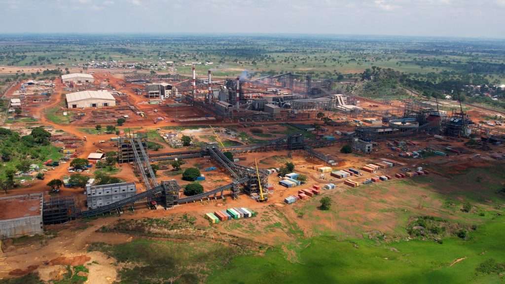 AIG Plants