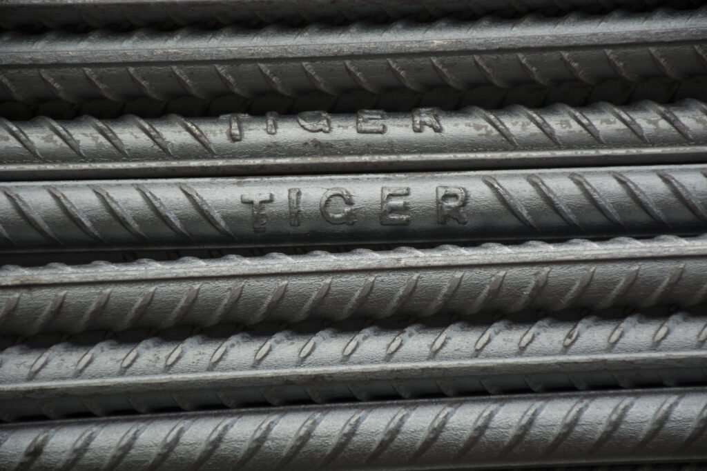 tiger